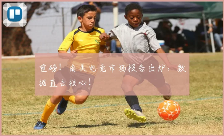 重磅！南美电竞市场报告出炉，数据直击核心！